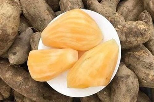 Sâm đất - Món quà từ lòng đất ăn giòn ngon lại mát, để càng lâu càng ngọt