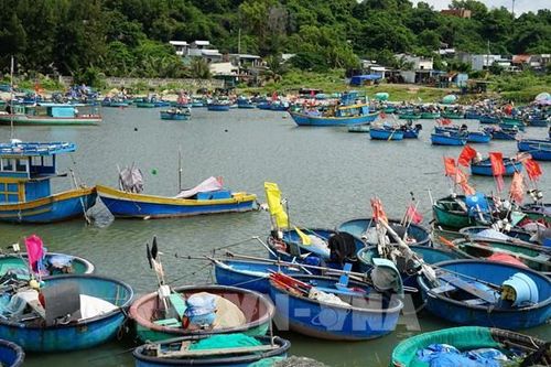 Bình yên làng nghề thuyền thúng ở Tiến Thành