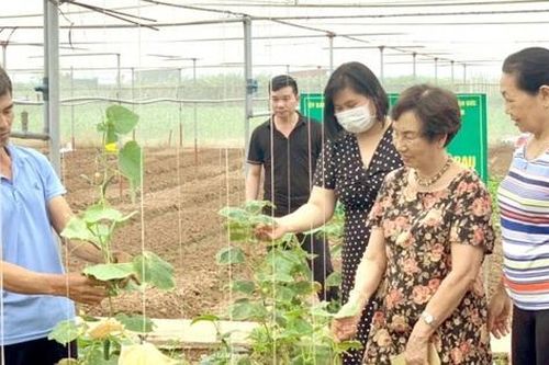 Ngoài miễn thuế thu nhập, cần thêm cơ chế thúc đẩy vai trò nhà khoa học nữ