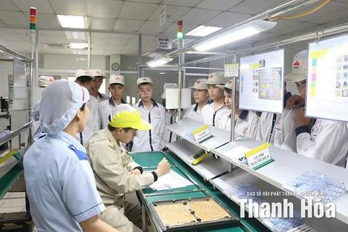 Đổi mới giáo dục nghề nghiệp: Thích ứng thị trường lao động