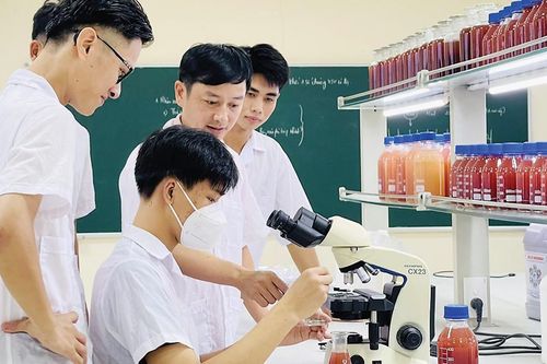 Ba trụ cột thúc đẩy phát triển nhân lực trong kỷ nguyên xanh và số