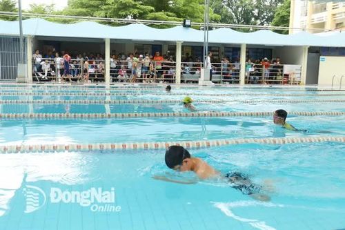 Sôi nổi Giải Bơi thiếu niên, nhi đồng các câu lạc bộ tỉnh Đồng Nai năm 2025