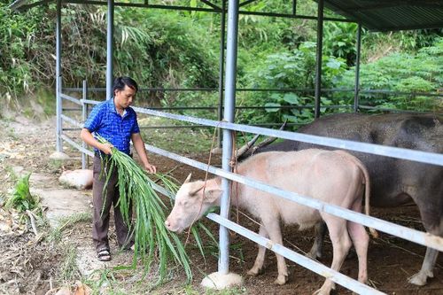 Thi đua sản xuất, kinh doanh giỏi