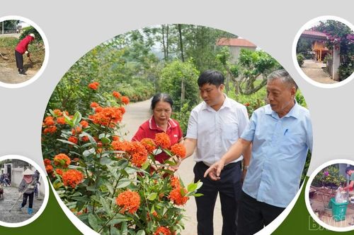 'Dân vận khéo' tạo môi trường xanh - sạch - đẹp