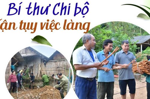 Bí thư Chi bộ tận tụy việc làng