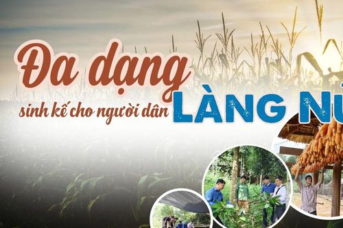Đa dạng sinh kế cho người dân Làng Nủ
