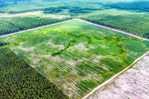 'Buổi ban đầu' chuỗi các khu, cụm công nghiệp phía Nam tỉnh