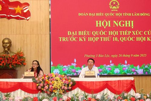 Cử tri Phường 3 Bảo Lộc kiến nghị nhiều vấn đề về dân sinh, môi trường
