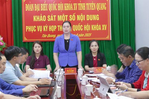 Đoàn ĐBQH tỉnh Tuyên Quang khảo sát tình hình thực hiện chính quyền địa phương hai cấp tại xã Tân Quang