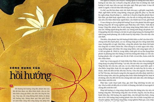 Công dụng của hồi hướng