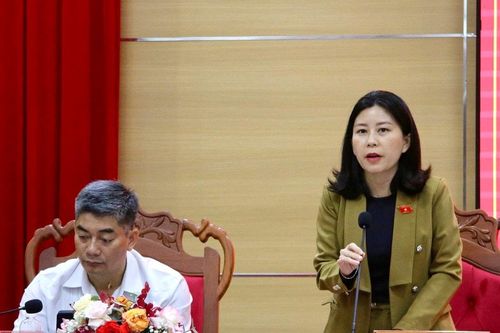 Cử tri Đắk Lắk kiến nghị nhiều vấn đề dân sinh, đất đai và hạ tầng