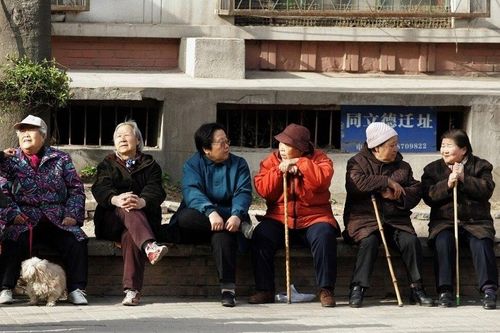 Làm 'công việc lạ' thu nhập gần 40 triệu đồng mỗi tháng