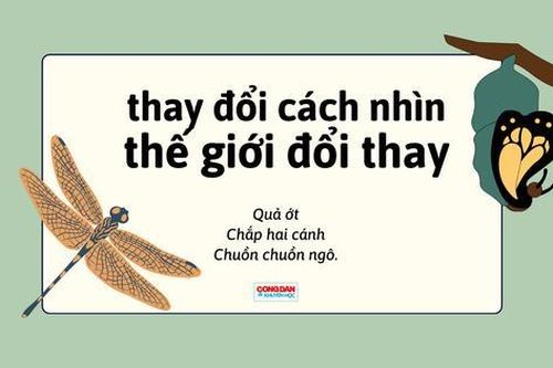 Đề thi học sinh giỏi Ngữ văn: thay đổi cách nhìn, thế giới đổi thay