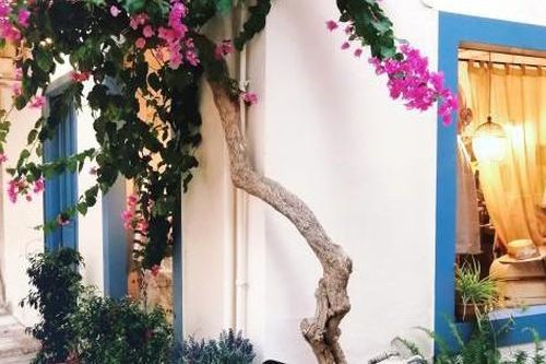 Đại kỵ để những đồ vật này trước cửa nhà dễ tán gia bại sản