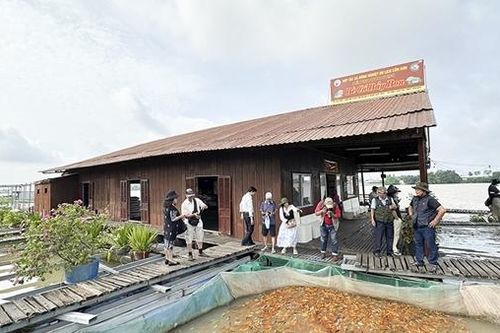 Một thoáng cù lao