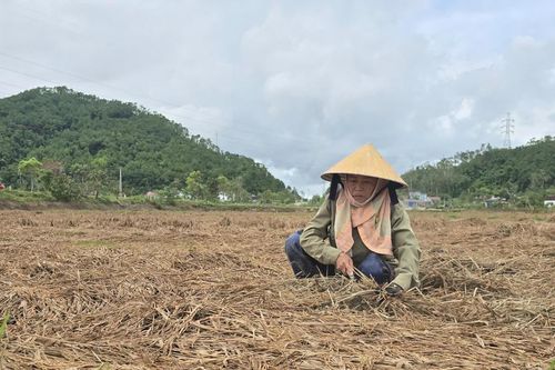 Người dân mất trắng sau bão lũ