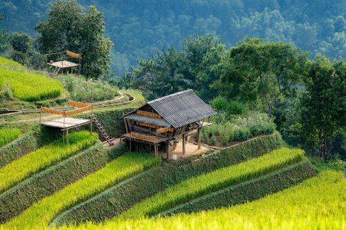 Những căn 'penthouse' ở Mù Cang Chải