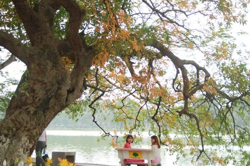 Nghĩ về thương hiệu 'mùa Thu Hà Nội'