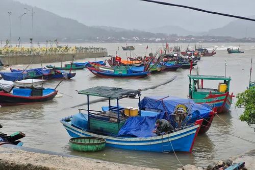Hà Tĩnh: cấm toàn bộ tàu thuyền đánh bắt hải sản trên biển để tránh bão
