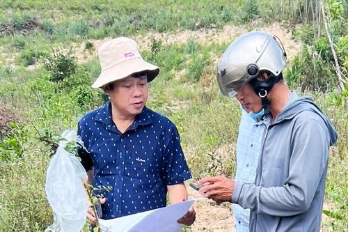 Gia Lai 'đua nước rút' chuẩn bị khởi công 2 dự án trọng điểm quốc gia