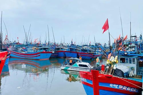 Cần sơ tán dân, bảo vệ đê điều trước bão số 10