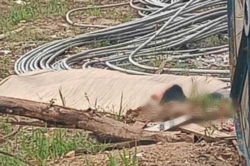 Lào Cai: Thêm vụ tai nạn khi kéo đường dây 500KV, 1 công nhân tử vong