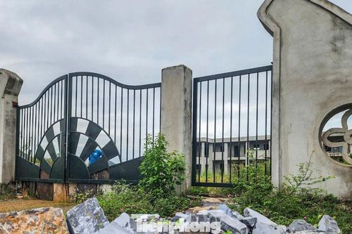 Cỏ mọc um tùm trong trường mầm non gần xây xong lại bỏ dở