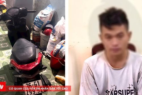 Vờ xin lái thử xe máy rồi chiếm đoạt