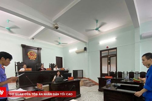 Rủ nhau dùng ma túy, 2 bị cáo trả giá đắt