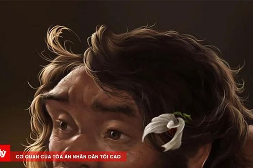 Hộp sọ 1 triệu năm tuổi có thể viết lại lịch sử loài người