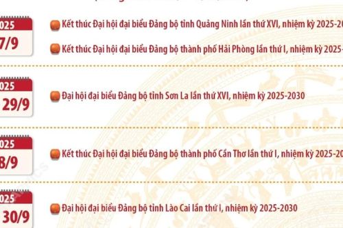 Thời gian dự kiến tổ chức Đại hội đại biểu Đảng bộ các tỉnh, thành phố