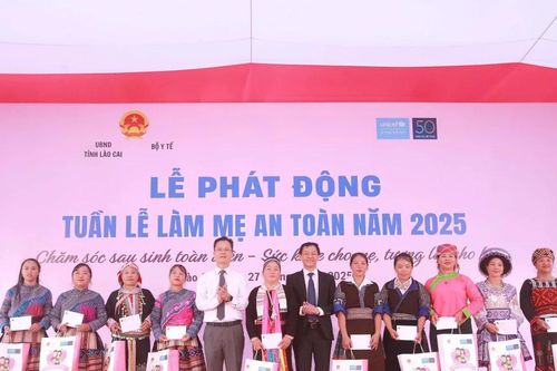 Bộ Y tế: Huy động mọi nguồn lực cho công tác chăm sóc bà mẹ và trẻ em