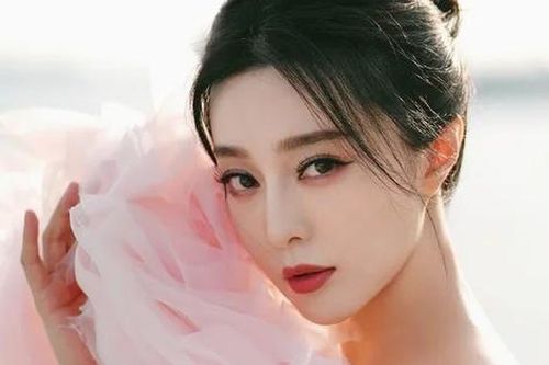 Người đàn ông bí ẩn bị bắt gặp đi mua sắm cùng Phạm Băng Băng là ai?
