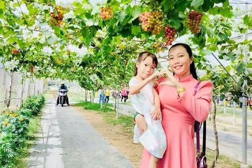 Vĩnh Long: Đánh thức du lịch vùng Đông sông Hậu