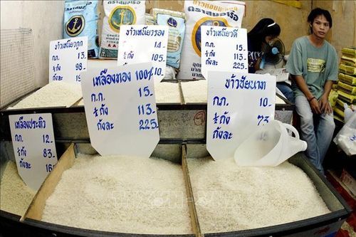 Giá gạo xuất khẩu của Thái Lan giảm xuống mức thấp nhất trong gần 9 năm