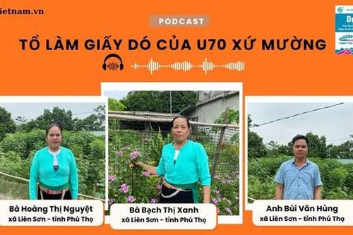 Podcast: Tổ làm giấy dó của U70 xứ Mường