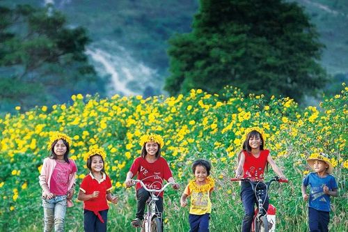 Theo dấu những mùa hoa