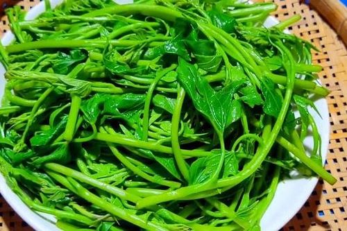 Vì sao khi ăn rau lang nên vắt thêm vài giọt chanh?