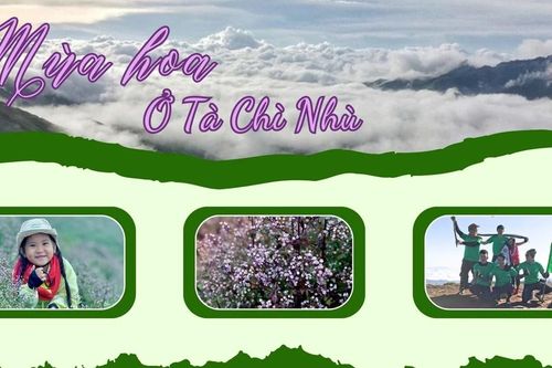 Mùa hoa ở Tà Chì Nhù