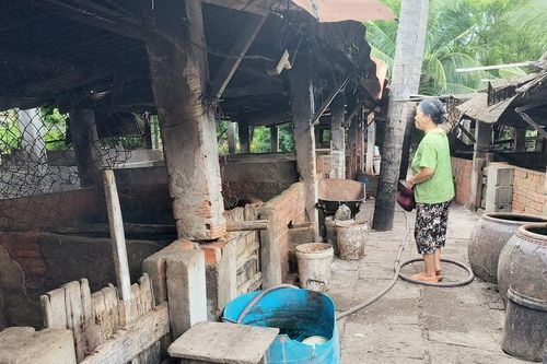 Cần sớm hỗ trợ di dời cơ sở chăn nuôi heo ra ngoài khu dân cư