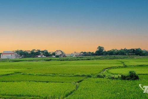 Một thời hò đối ven sông