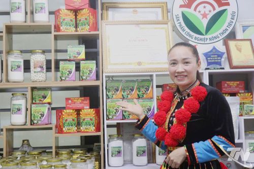 Điểm sáng một hợp tác xã