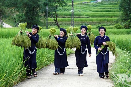 Hương cốm mùa thu