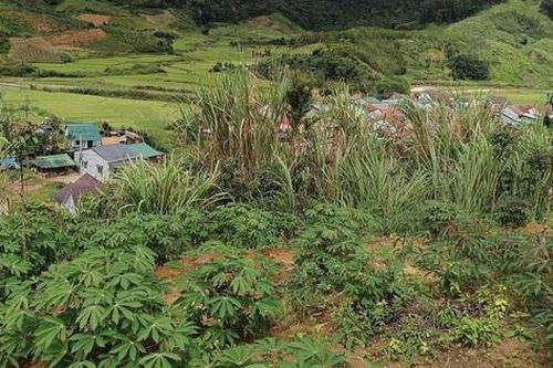 Quảng Ngãi: Di dời người dân sống dưới chân ngọn núi xuất hiện vết nứt dài 200m