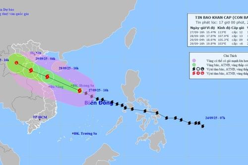 Bão số 10 BUALOI cách đặc khu Hoàng Sa khoảng 170km, khu vực Thanh Hóa – Quảng Ngãi bắt đầu mưa lớn