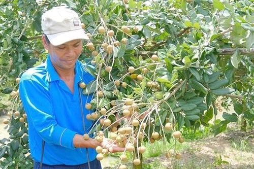 Sản xuất sạch chinh phục thị trường