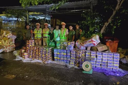 Công an Đồng Nai bắt giữ gần 600kg pháo hoa nổ