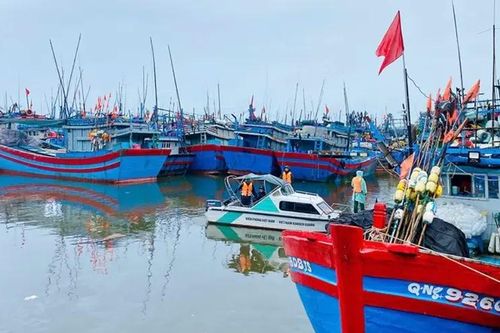Quảng Ngãi khẩn trương ứng phó bão số 10