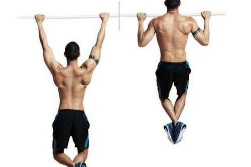 4 nhóm cơ nào giúp đốt cháy calo nhiều nhất?