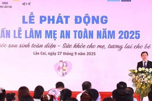 Tuần lễ làm mẹ an toàn năm 2025: Huy động mọi nguồn lực chăm sóc bà mẹ và trẻ em